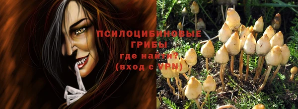 дурь Алзамай