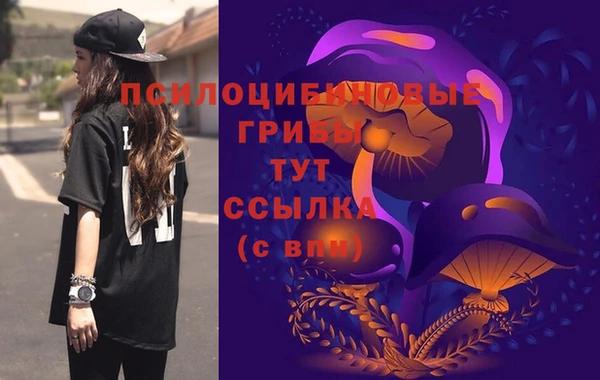 ALPHA-PVP Алексеевка