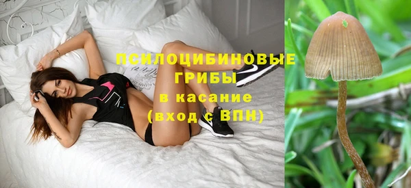 дурь Алзамай